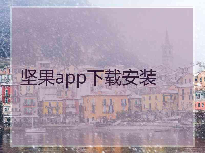 坚果app下载安装