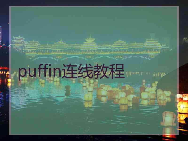 puffin连线教程
