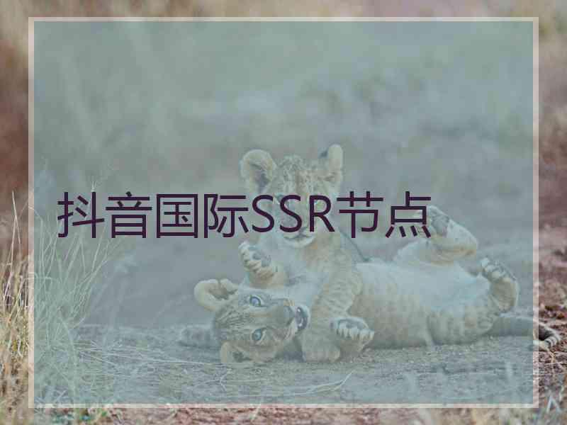 抖音国际SSR节点