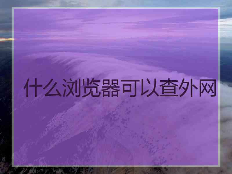 什么浏览器可以查外网