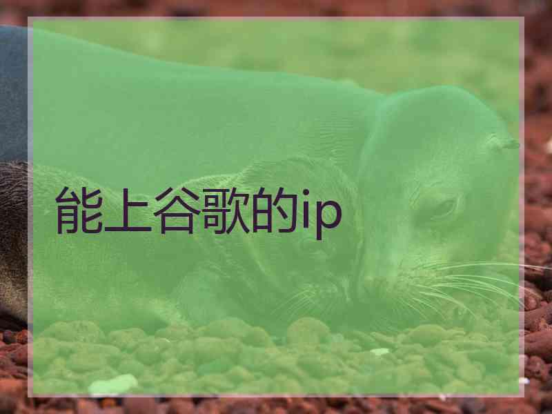 能上谷歌的ip