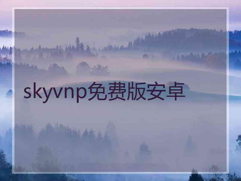 skyvnp免费版安卓
