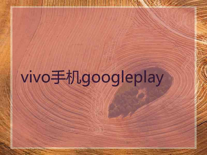 vivo手机googleplay