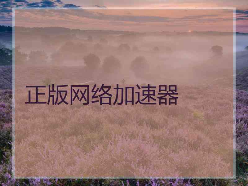 正版网络加速器