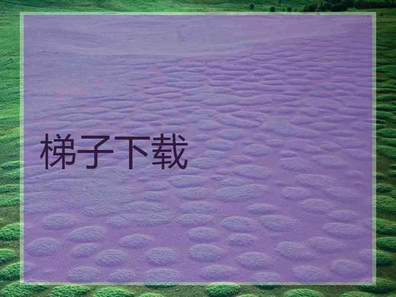 梯子下载