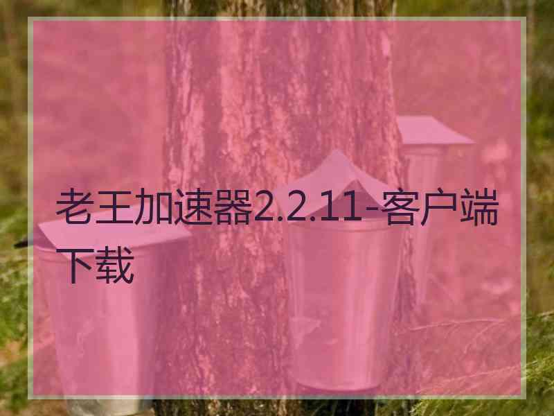 老王加速器2.2.11-客户端下载