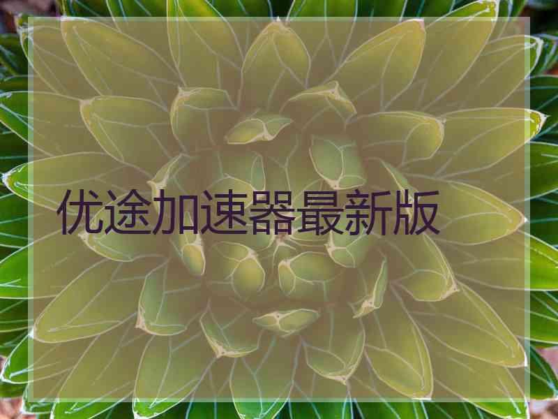优途加速器最新版