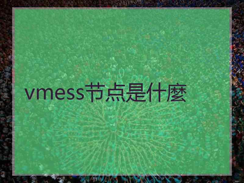 vmess节点是什麼