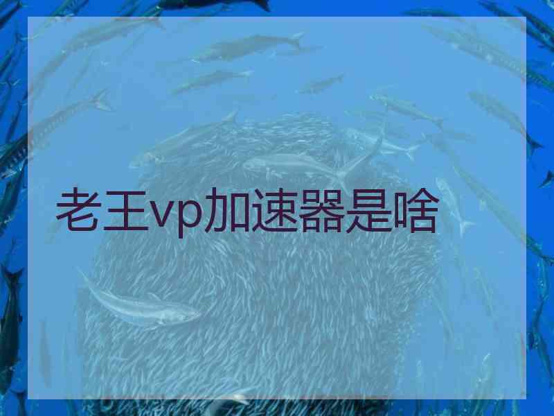 老王vp加速器是啥