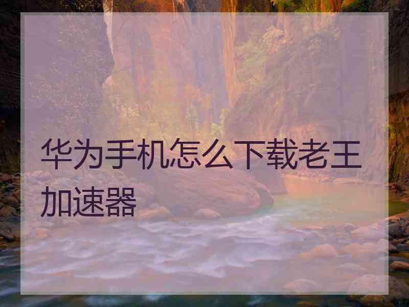 华为手机怎么下载老王加速器